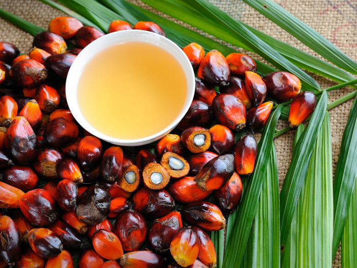 К чему приведёт подорожание пальмового масла?
